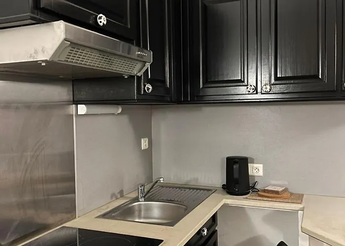 Dans Le Vieil Apartment